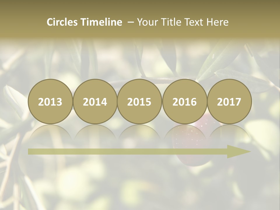 Ripening Olive On Tree Ready For Harvesting PowerPoint Template