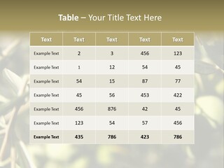 Ripening Olive On Tree Ready For Harvesting PowerPoint Template