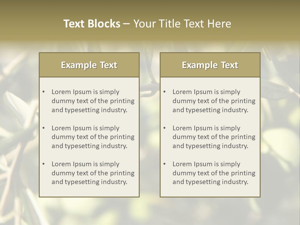 Ripening Olive On Tree Ready For Harvesting PowerPoint Template