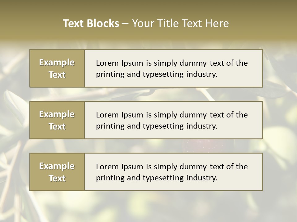 Ripening Olive On Tree Ready For Harvesting PowerPoint Template