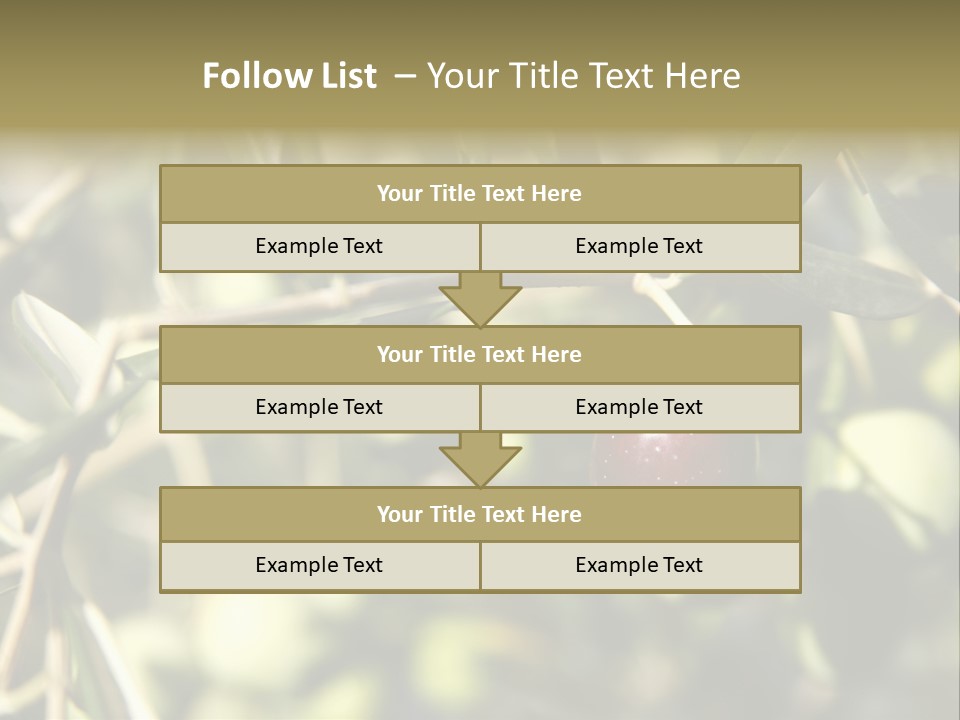 Ripening Olive On Tree Ready For Harvesting PowerPoint Template