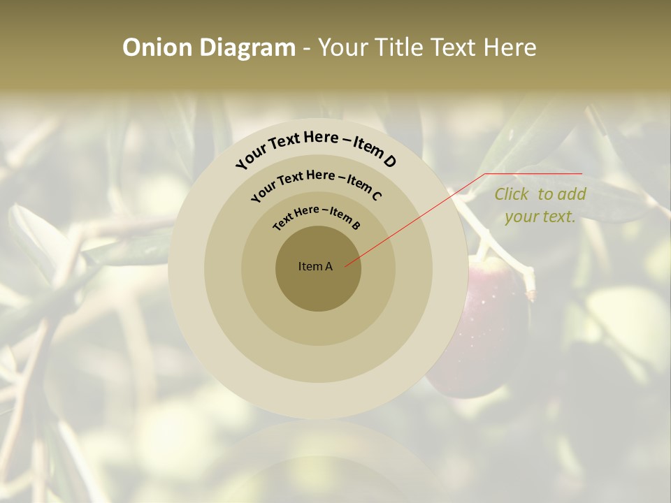 Ripening Olive On Tree Ready For Harvesting PowerPoint Template