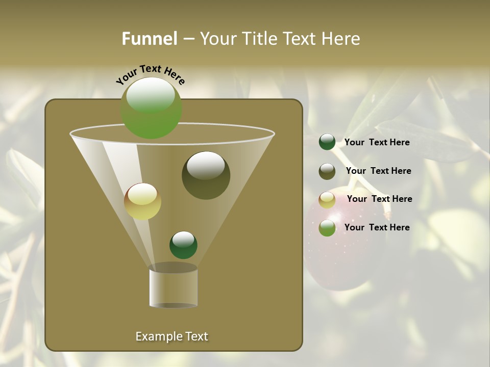 Ripening Olive On Tree Ready For Harvesting PowerPoint Template