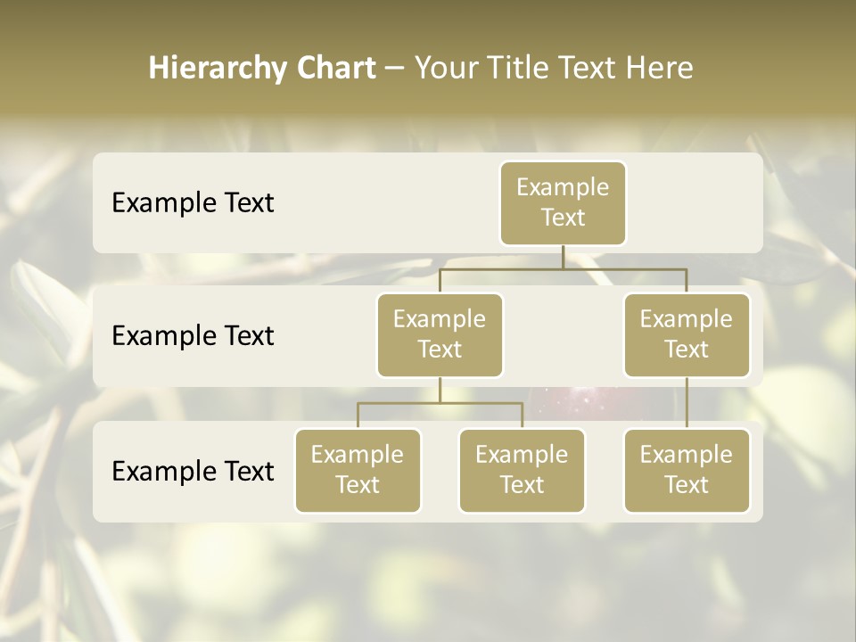 Ripening Olive On Tree Ready For Harvesting PowerPoint Template