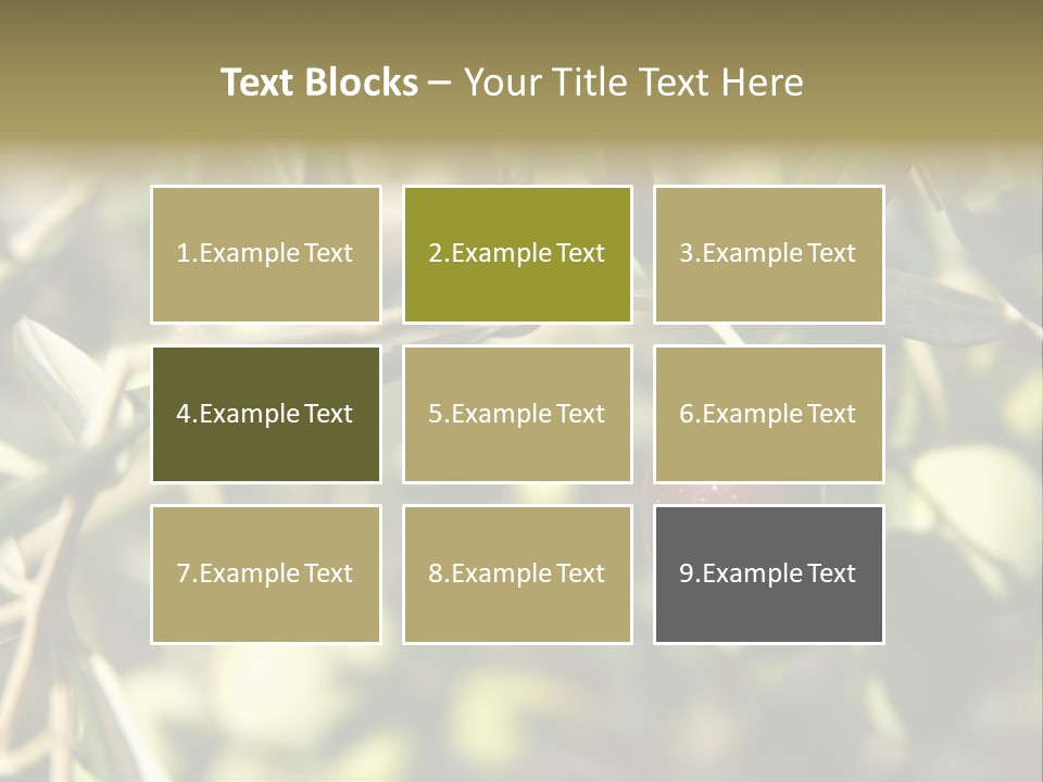 Ripening Olive On Tree Ready For Harvesting PowerPoint Template