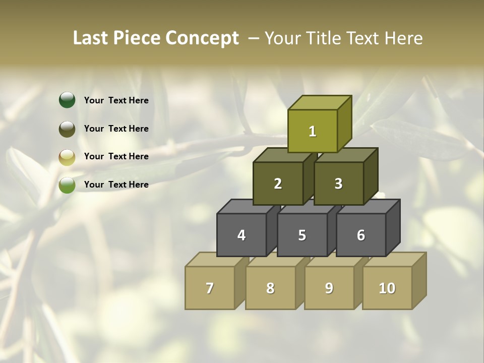 Ripening Olive On Tree Ready For Harvesting PowerPoint Template