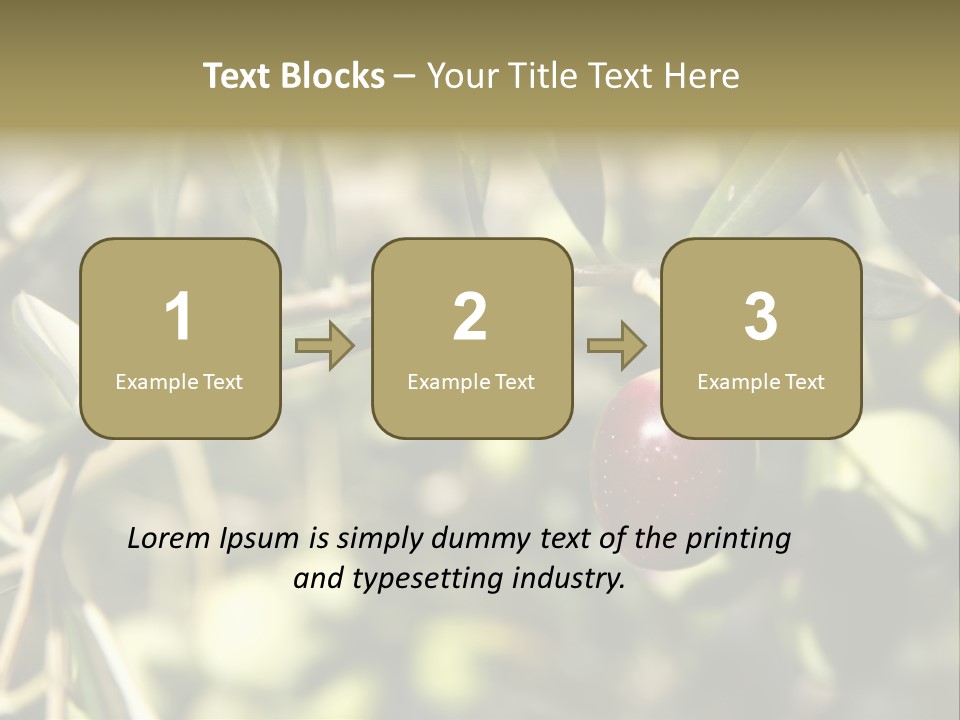 Ripening Olive On Tree Ready For Harvesting PowerPoint Template