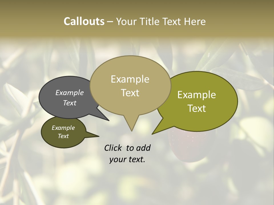 Ripening Olive On Tree Ready For Harvesting PowerPoint Template