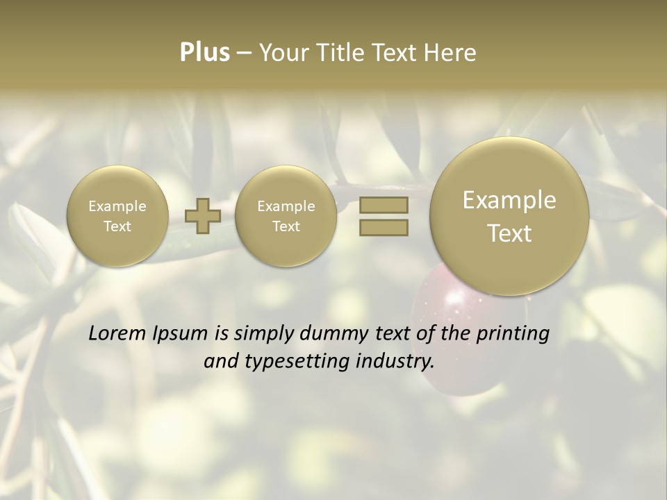 Ripening Olive On Tree Ready For Harvesting PowerPoint Template