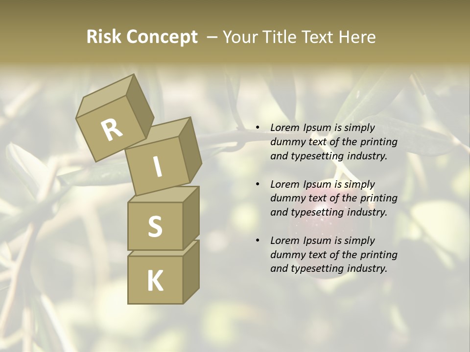 Ripening Olive On Tree Ready For Harvesting PowerPoint Template