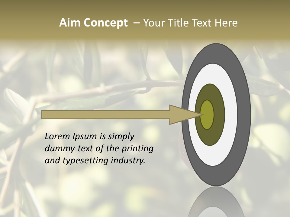 Ripening Olive On Tree Ready For Harvesting PowerPoint Template