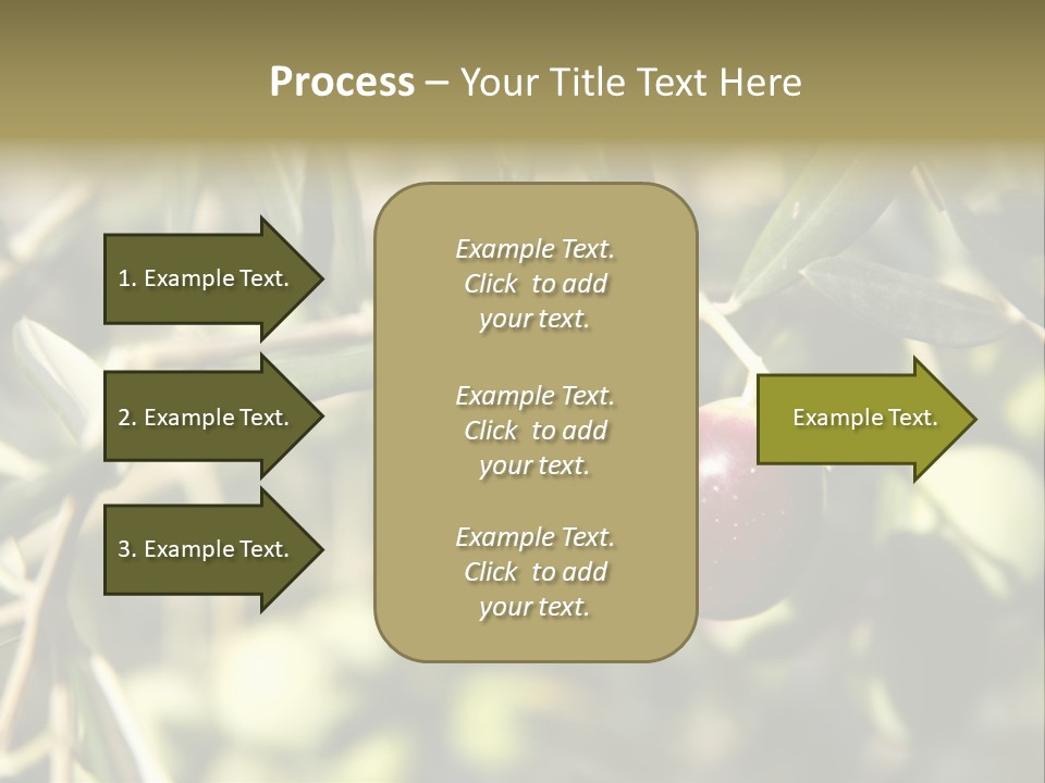 Ripening Olive On Tree Ready For Harvesting PowerPoint Template