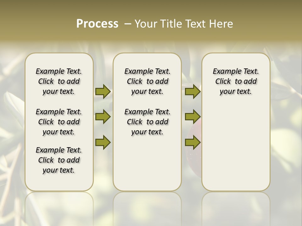 Ripening Olive On Tree Ready For Harvesting PowerPoint Template