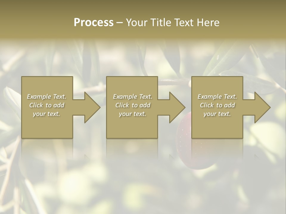Ripening Olive On Tree Ready For Harvesting PowerPoint Template