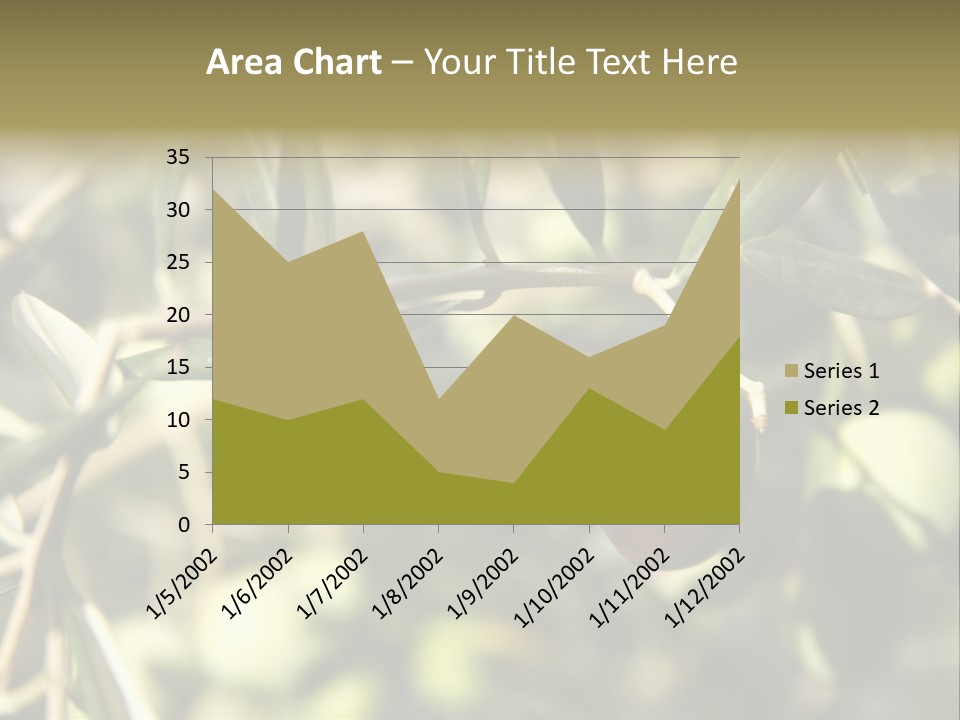 Ripening Olive On Tree Ready For Harvesting PowerPoint Template
