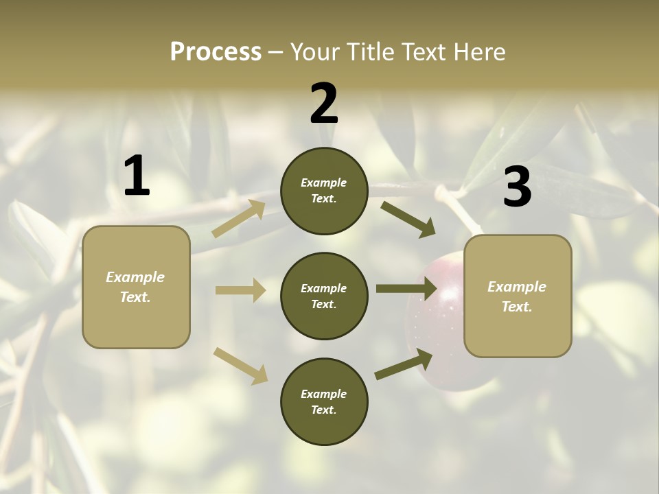 Ripening Olive On Tree Ready For Harvesting PowerPoint Template