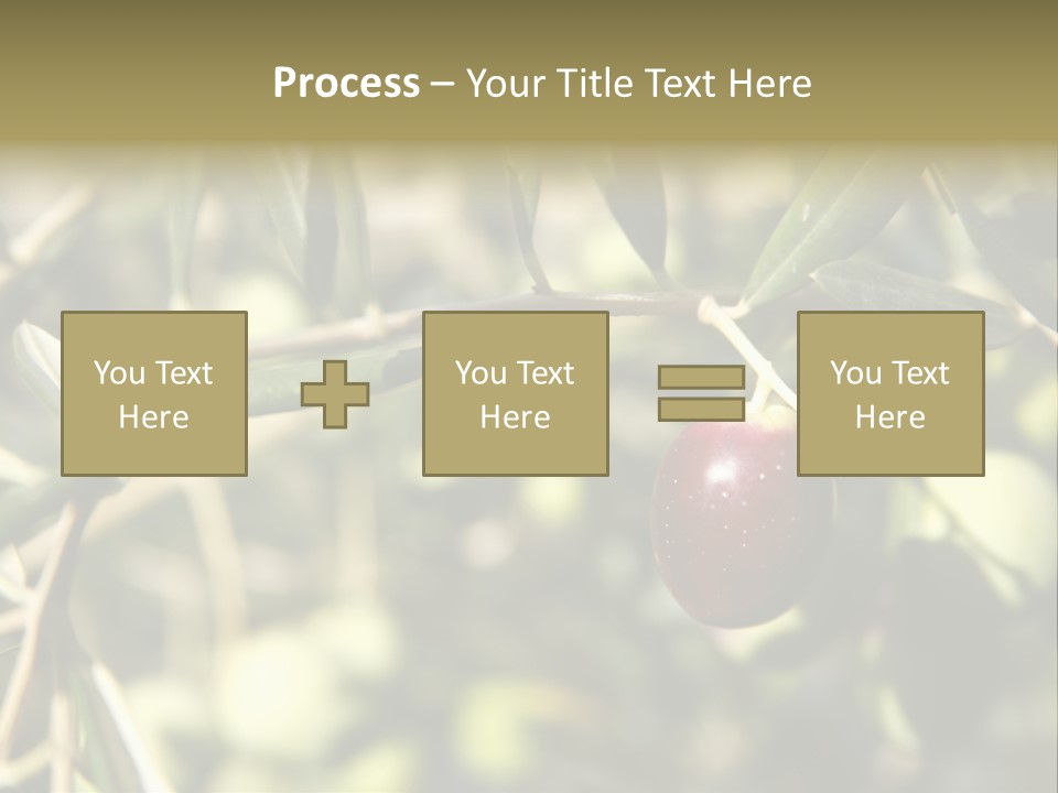 Ripening Olive On Tree Ready For Harvesting PowerPoint Template