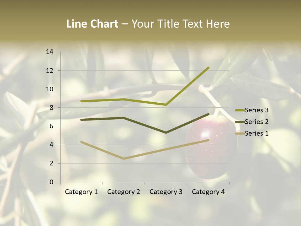 Ripening Olive On Tree Ready For Harvesting PowerPoint Template
