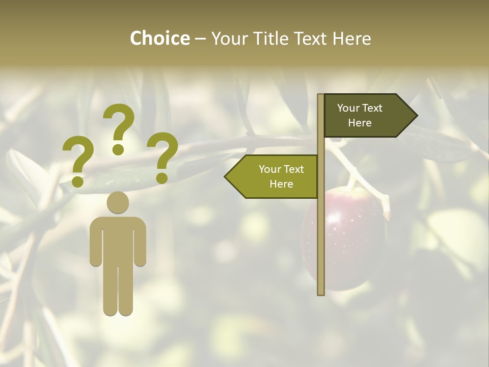 Ripening Olive On Tree Ready For Harvesting PowerPoint Template