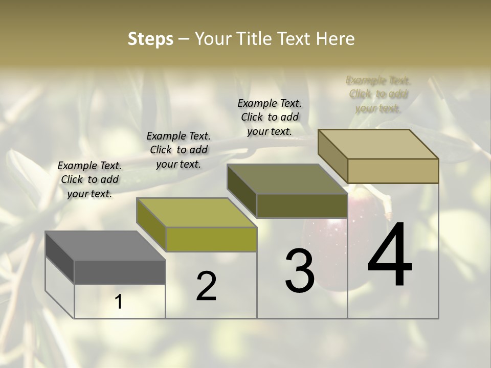 Ripening Olive On Tree Ready For Harvesting PowerPoint Template