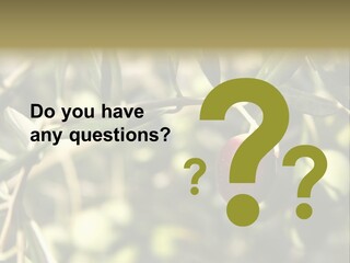 Ripening Olive On Tree Ready For Harvesting PowerPoint Template