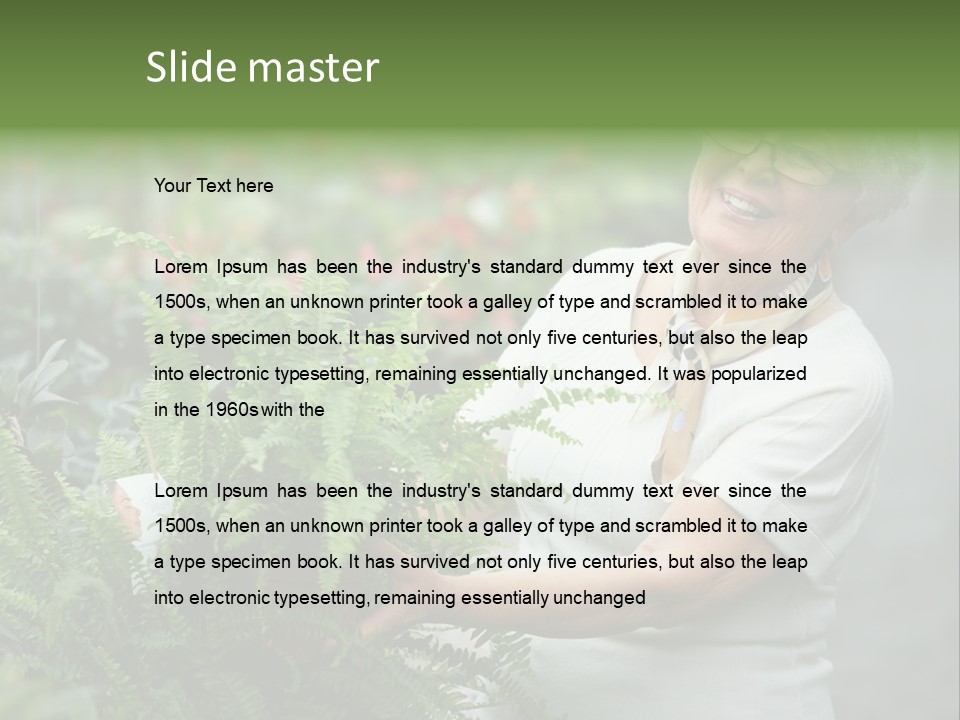 Australian Merino Sheep PowerPoint Template