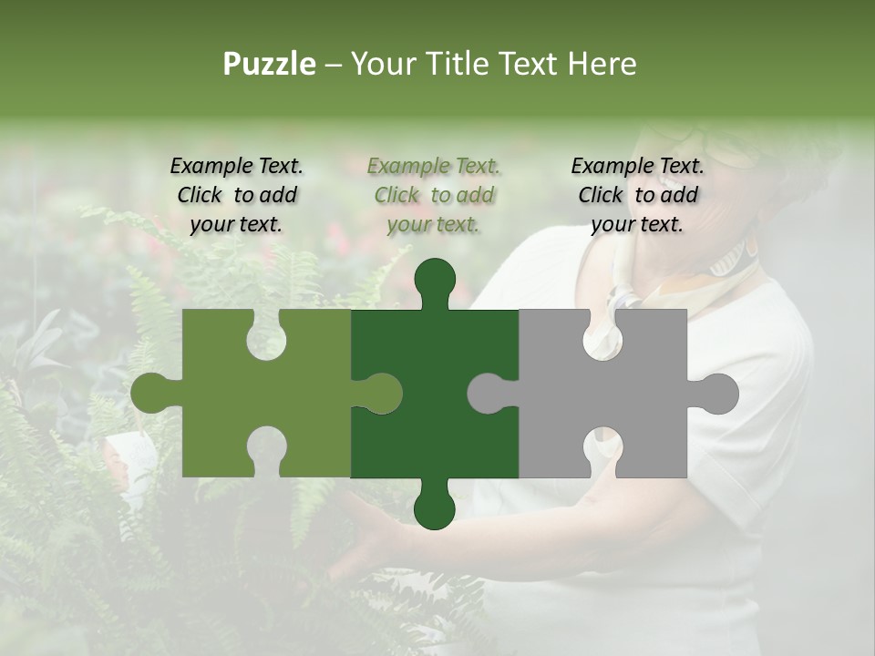 Australian Merino Sheep PowerPoint Template