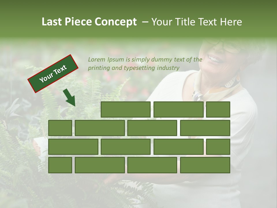 Australian Merino Sheep PowerPoint Template