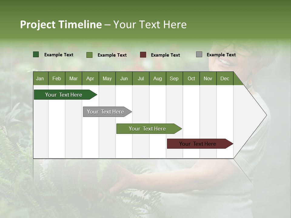 Australian Merino Sheep PowerPoint Template