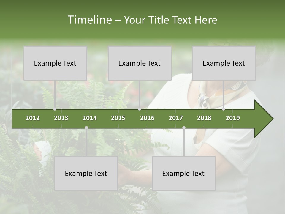 Australian Merino Sheep PowerPoint Template