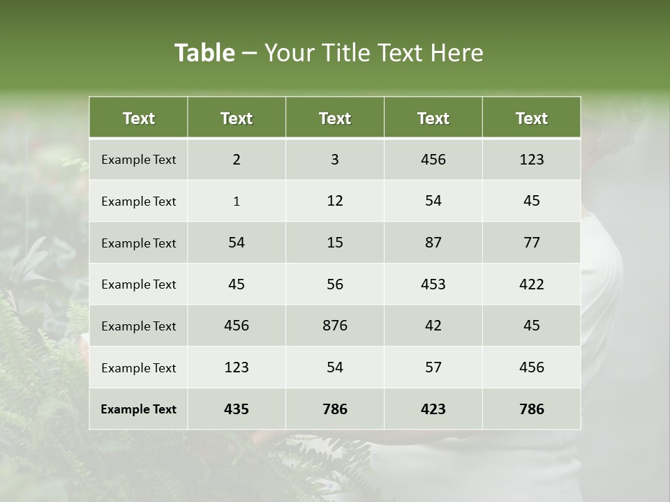 Australian Merino Sheep PowerPoint Template
