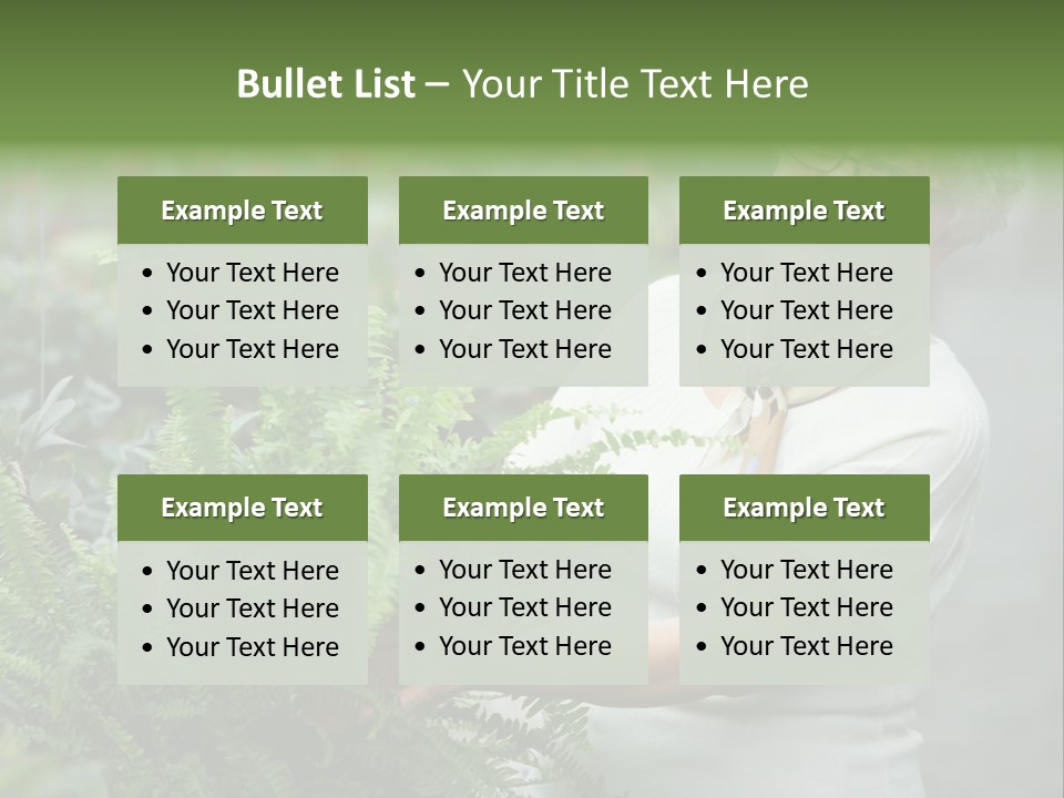 Australian Merino Sheep PowerPoint Template