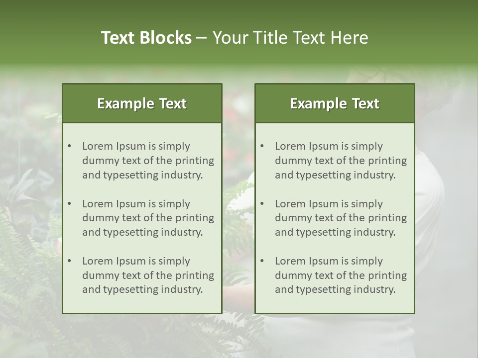 Australian Merino Sheep PowerPoint Template