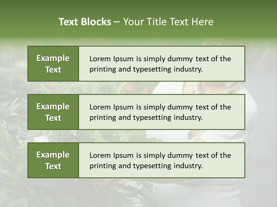 Australian Merino Sheep PowerPoint Template