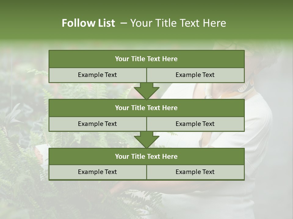 Australian Merino Sheep PowerPoint Template