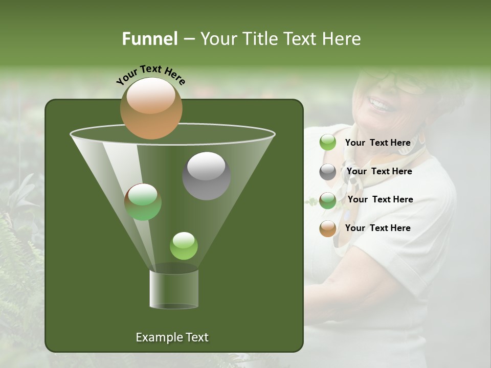 Australian Merino Sheep PowerPoint Template