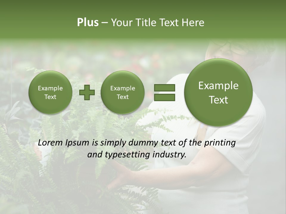 Australian Merino Sheep PowerPoint Template