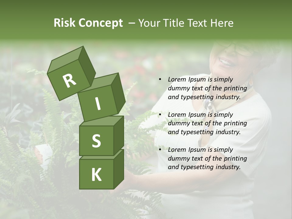 Australian Merino Sheep PowerPoint Template