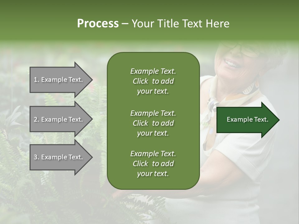 Australian Merino Sheep PowerPoint Template