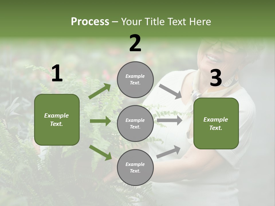 Australian Merino Sheep PowerPoint Template