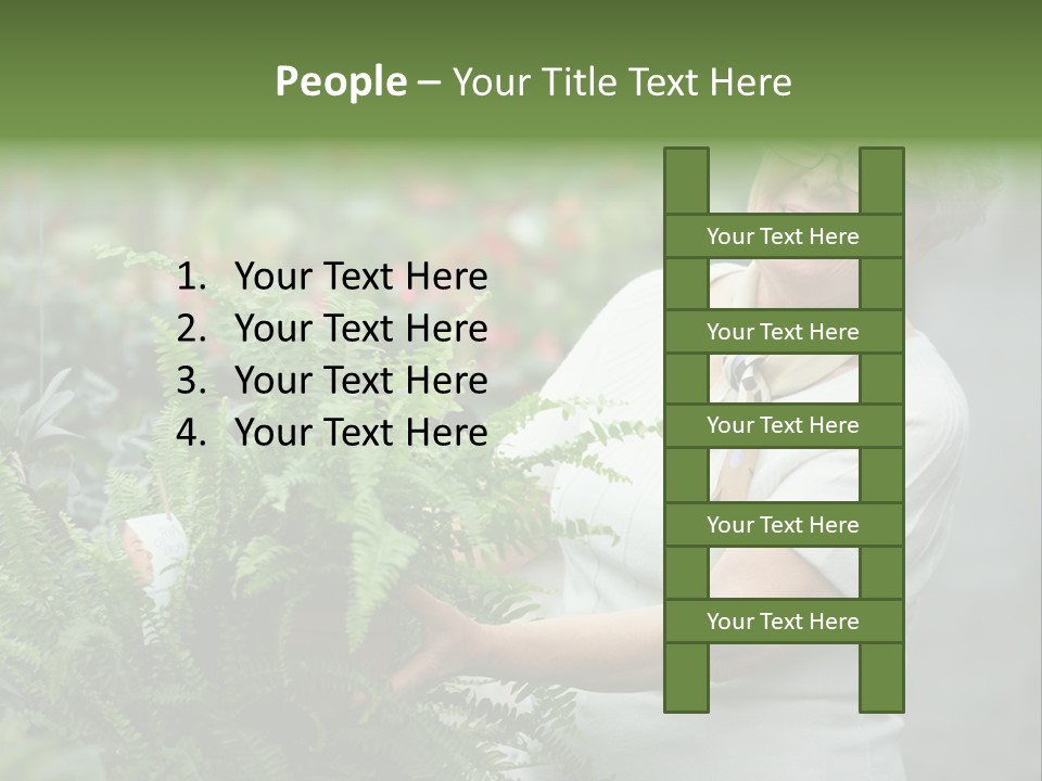 Australian Merino Sheep PowerPoint Template