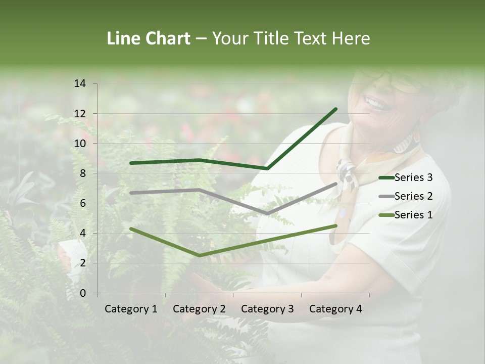 Australian Merino Sheep PowerPoint Template