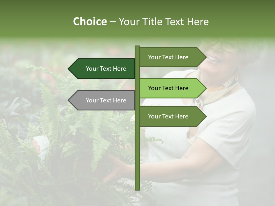 Australian Merino Sheep PowerPoint Template