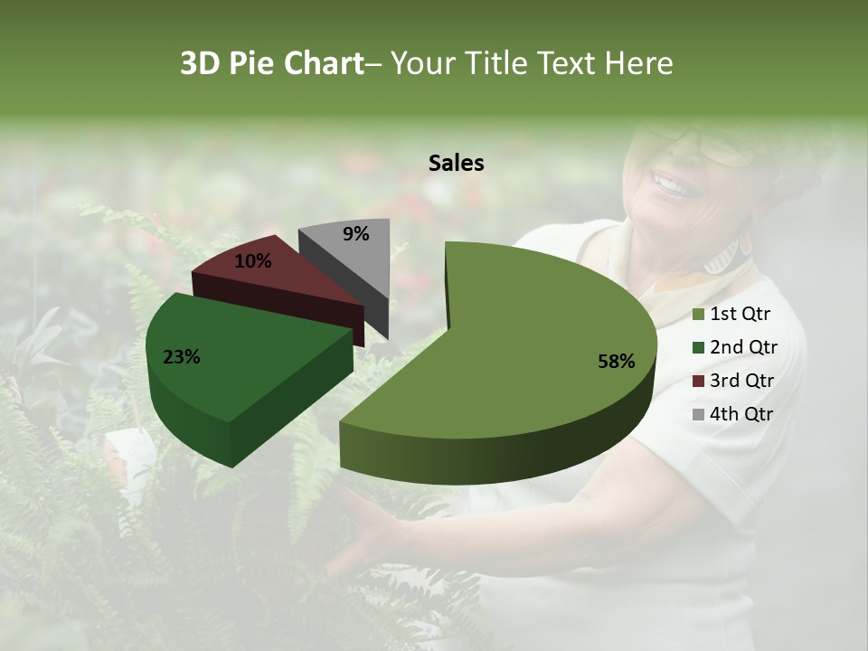 Australian Merino Sheep PowerPoint Template