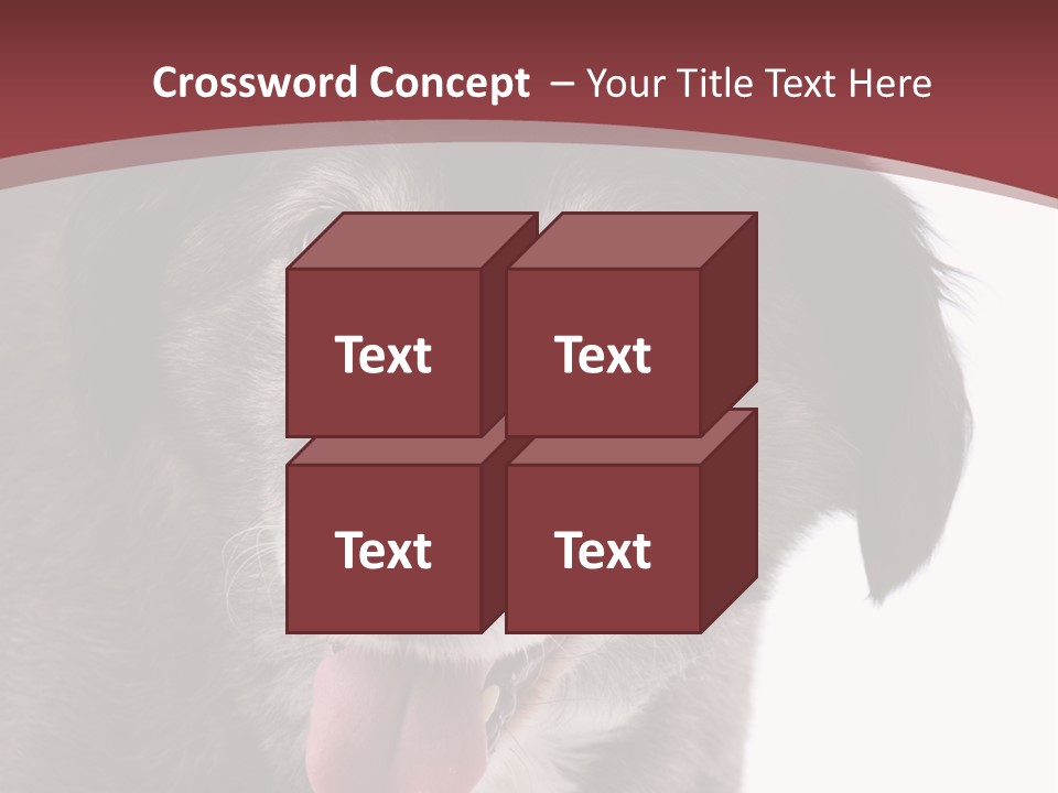 Cute Old Dog On White Background Looking Happy PowerPoint Template