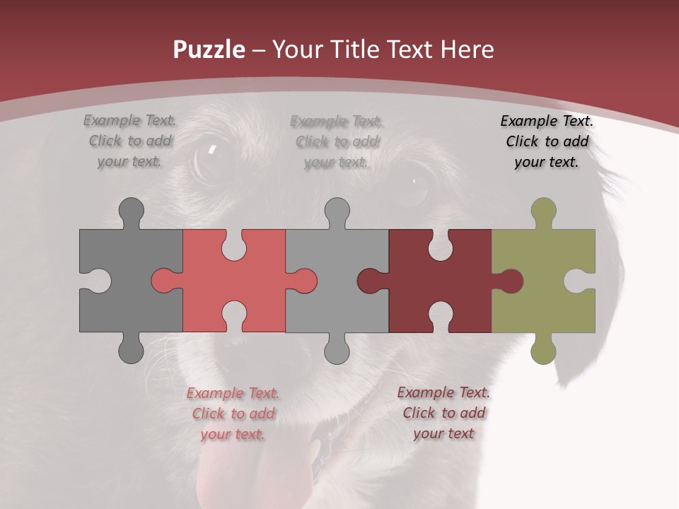 Cute Old Dog On White Background Looking Happy PowerPoint Template