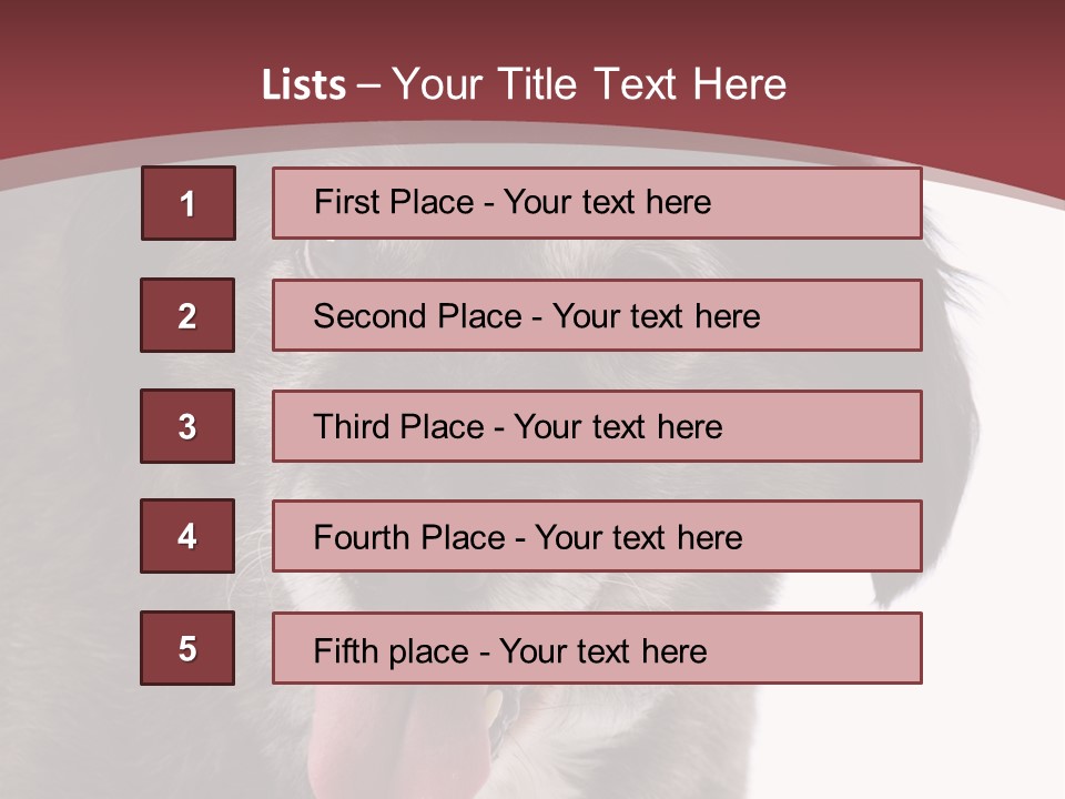 Cute Old Dog On White Background Looking Happy PowerPoint Template