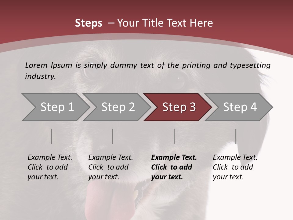 Cute Old Dog On White Background Looking Happy PowerPoint Template