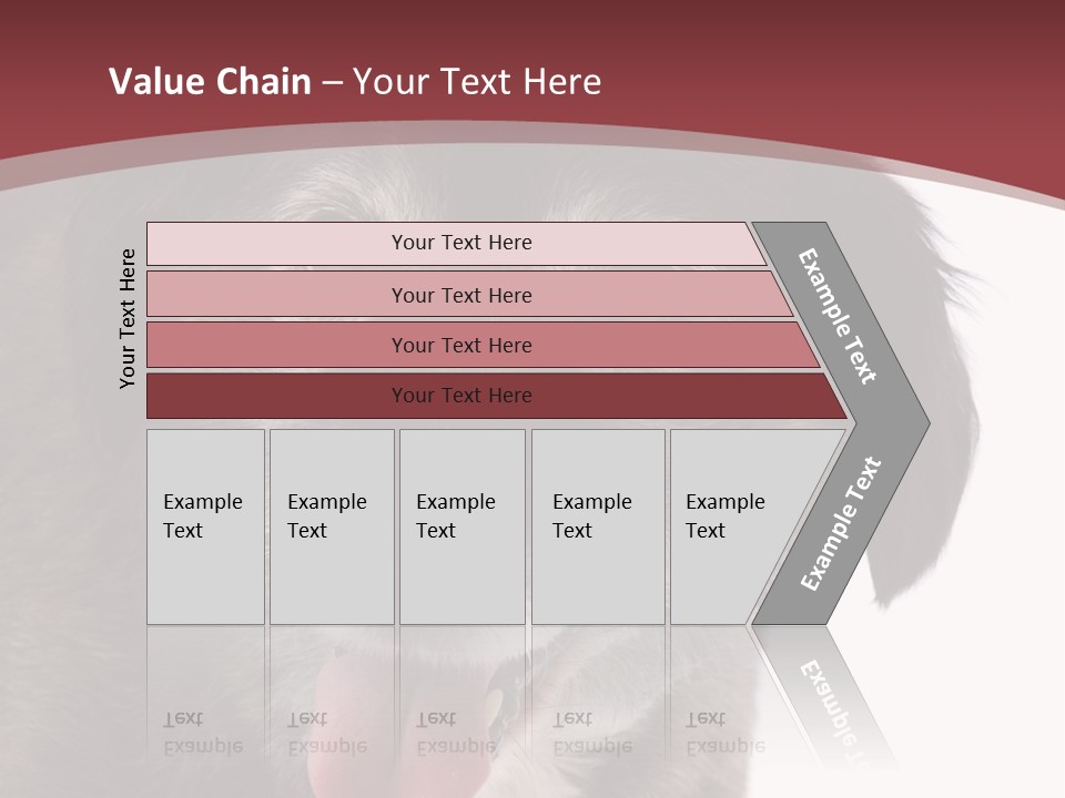 Cute Old Dog On White Background Looking Happy PowerPoint Template