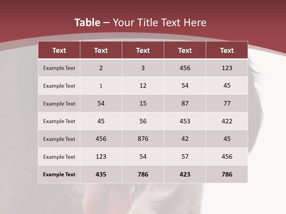 Cute Old Dog On White Background Looking Happy PowerPoint Template